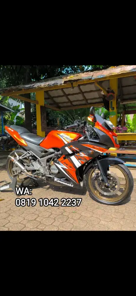 Kawasaki Ninja RR 2015