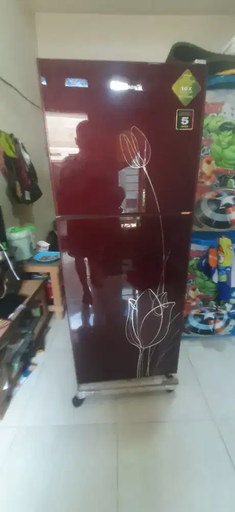 Kulkas 2 pintu polytron GRATIS ANTAR