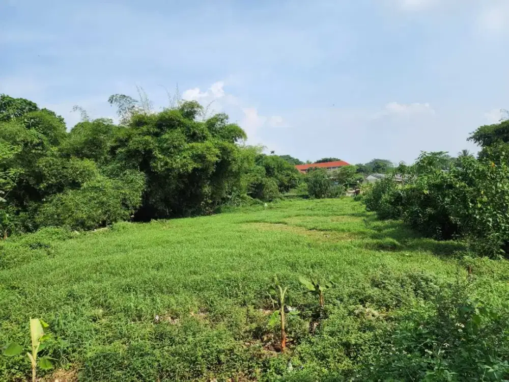 Tanah Murah Bagus Cocok Buat Cluster / Pesantren / Gedung / Sekolah