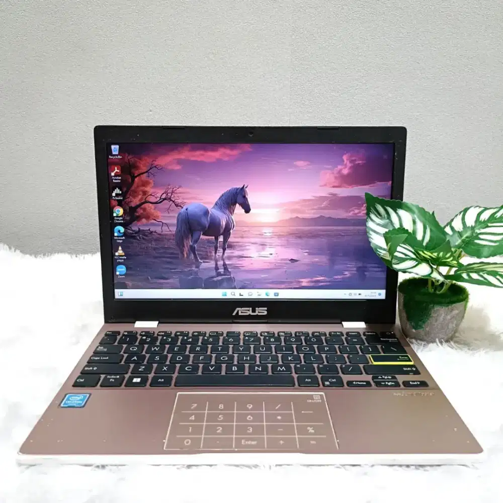 ASUS E210MA INTEL N4020 RAM 4GB SSD 256GB LAYAR 12.0 INCH PINK