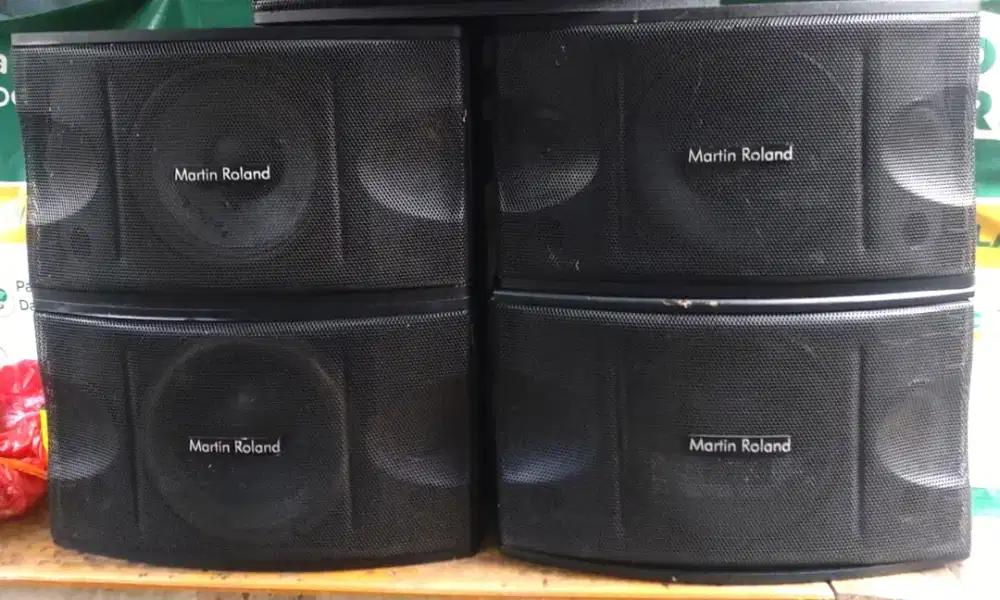 Speaker Pasif 10inch Martin Roland MK-858