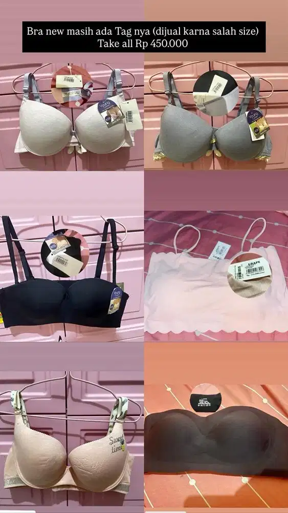 New! Bra young curves