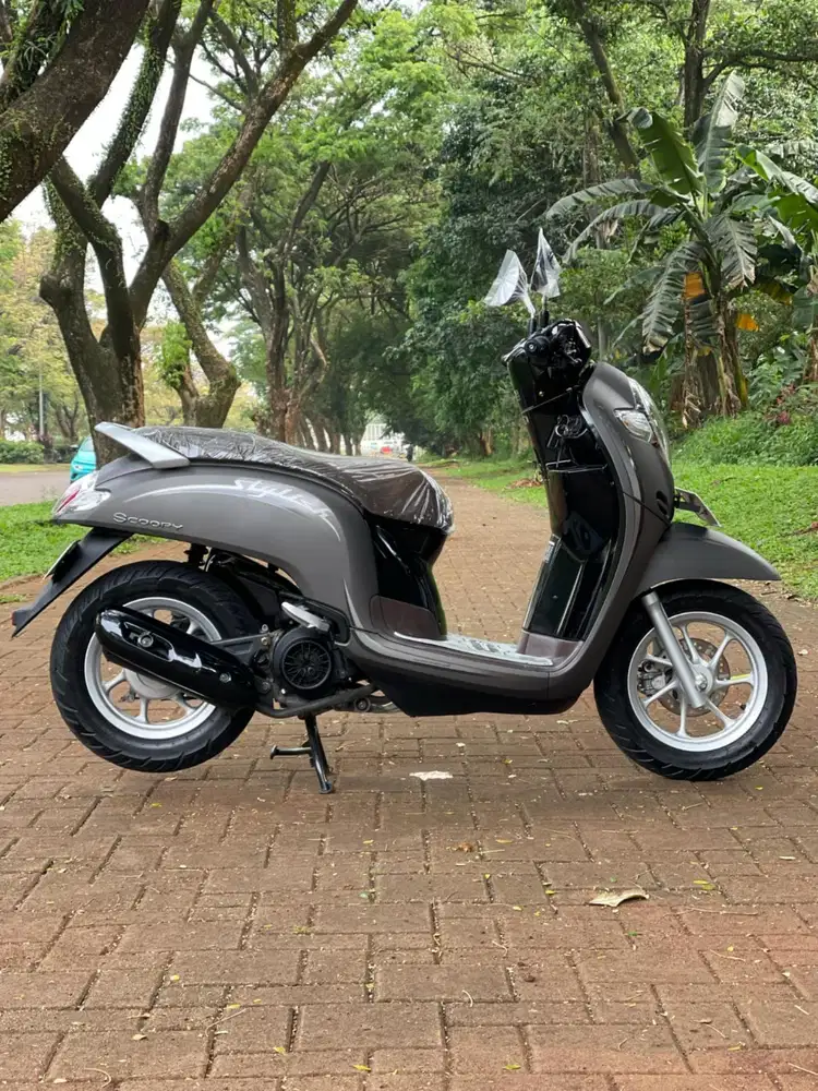 Cash Kredit [DP 500] SCOOPY STYLISH 2020 Barang Gress