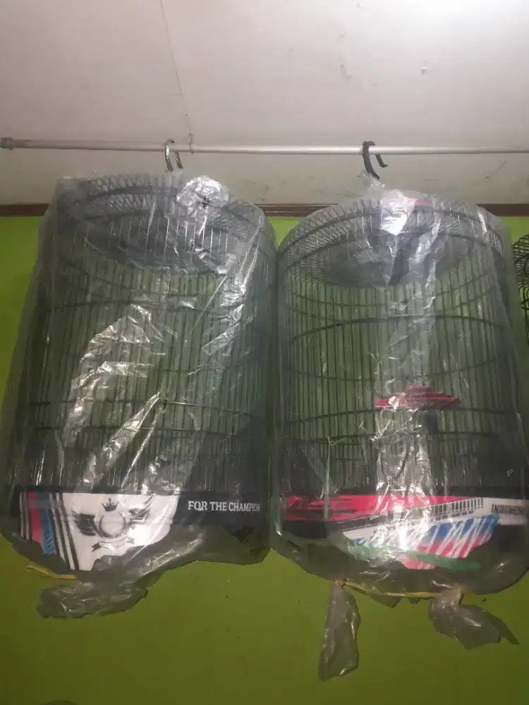 Kandang baru no minus no 2.3