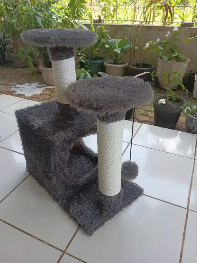 Rumah Tempat main kucing kondisi layak pakai lokasi Bojonggede-Bogor