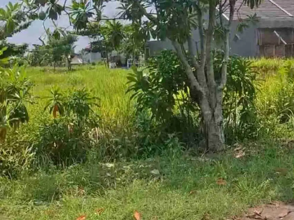 JUAL TANAH AREA DINAR RAYA ELOK KECAMATAN TEMBALANG