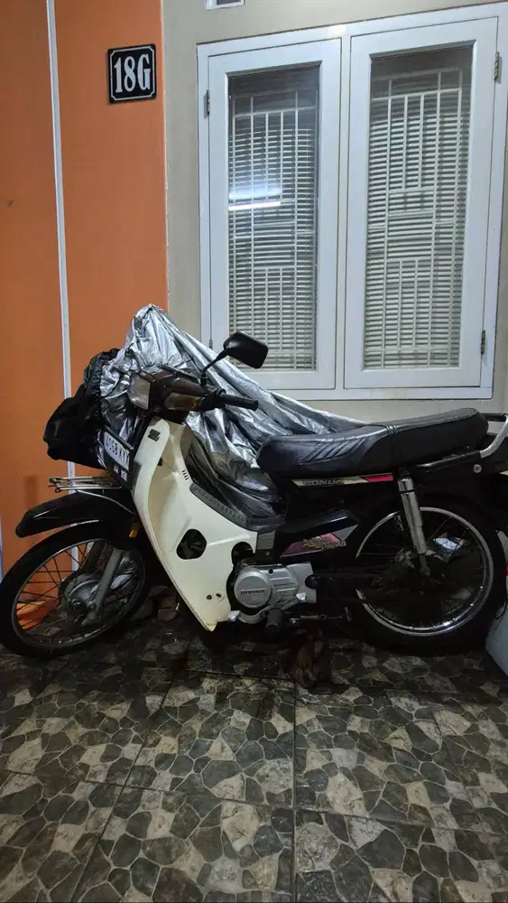 Astrea prima engkel (non stater)