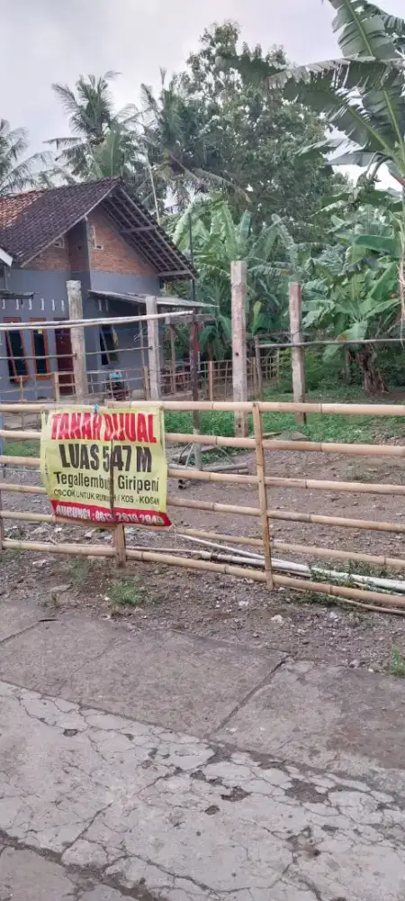 Di jual tanah di giripeni kulon progo