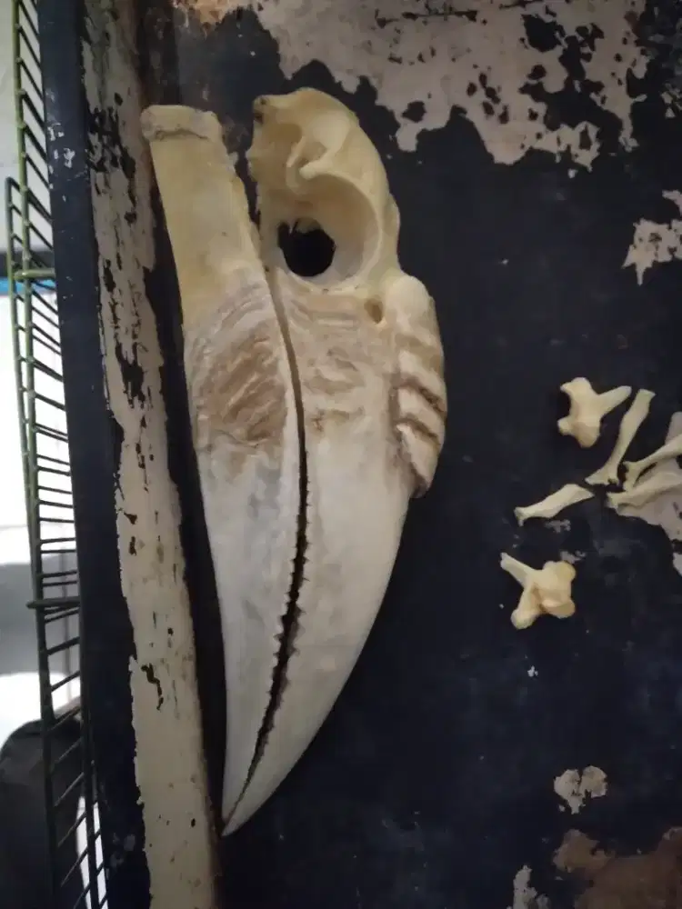 Pajangan Peninggalan buyut langka