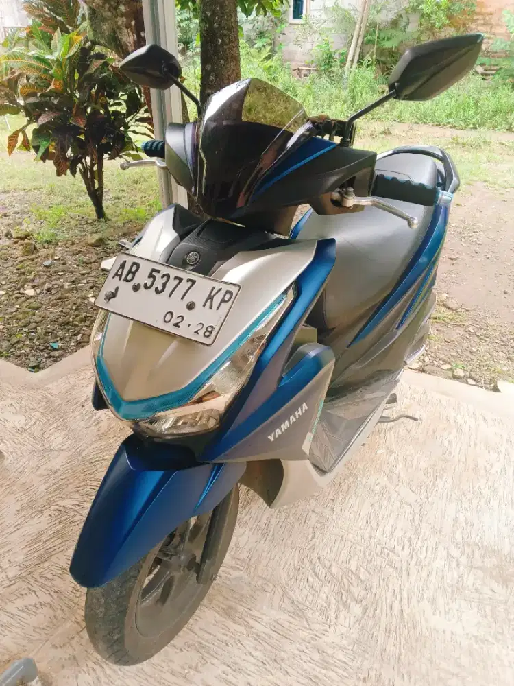 New Freego 2023 Pajak Jalan