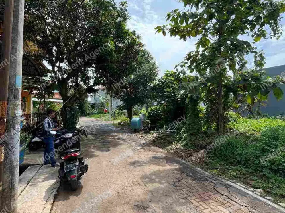 tanah strategis bulusan utara, jln turus asri tembalang