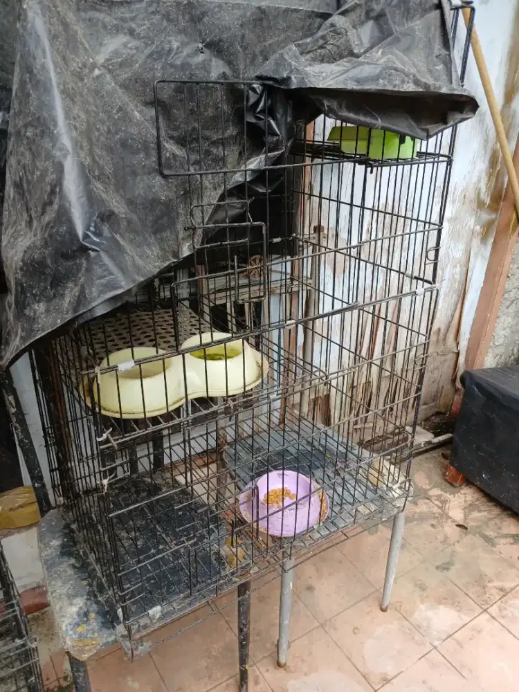 Kandang kucing besar
