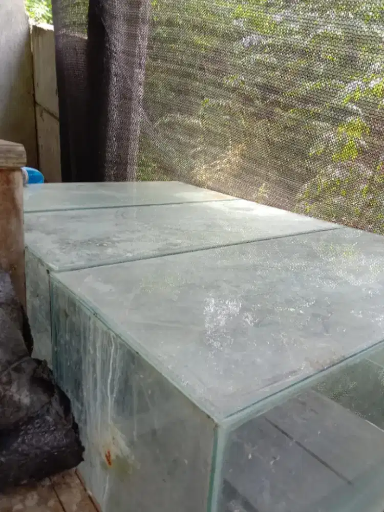 Akuarium aquarium 80x40x35