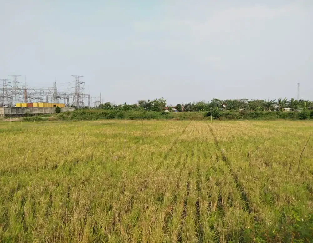 DI JUAL TANAH SAWAH, DI JL RAYA IRIGASI HARAPAN JAYA, KOTA BEKASI.