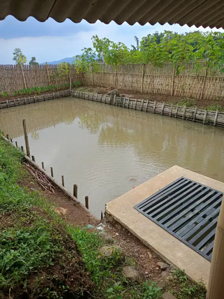 Jual tanah dan kolam ikan Ciwidey