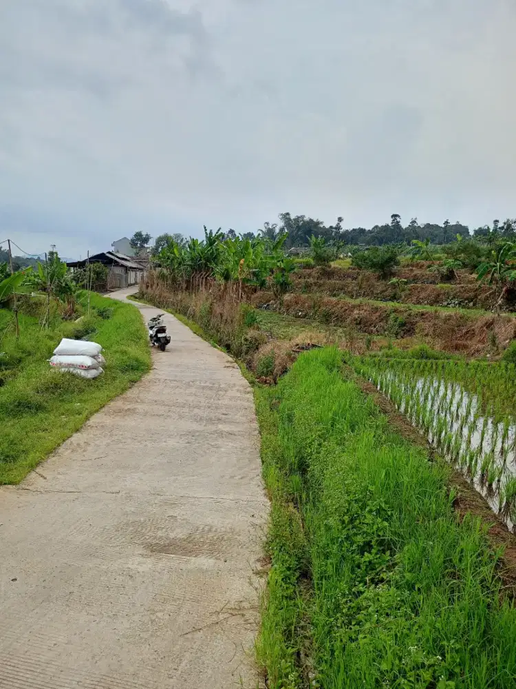 Jual tanah murah Ciwidey