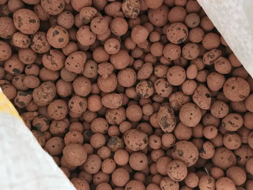 Hydroton Media Tanam