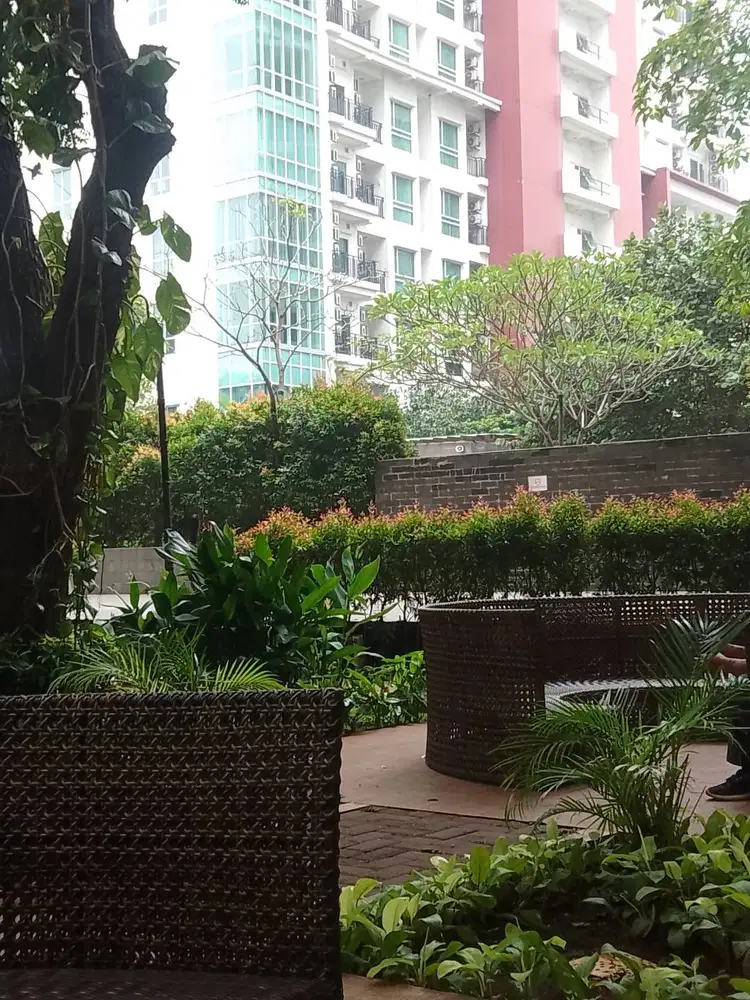 Driver & tenaga serabutan