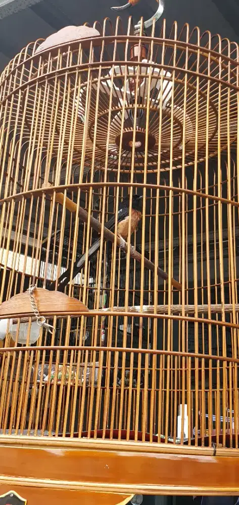 Murai Blorok ring MBRK FS