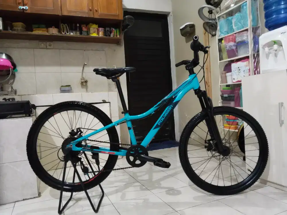 Sepeda polygon relic