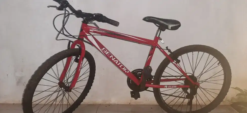Sepeda gunung SENATOR ELITE