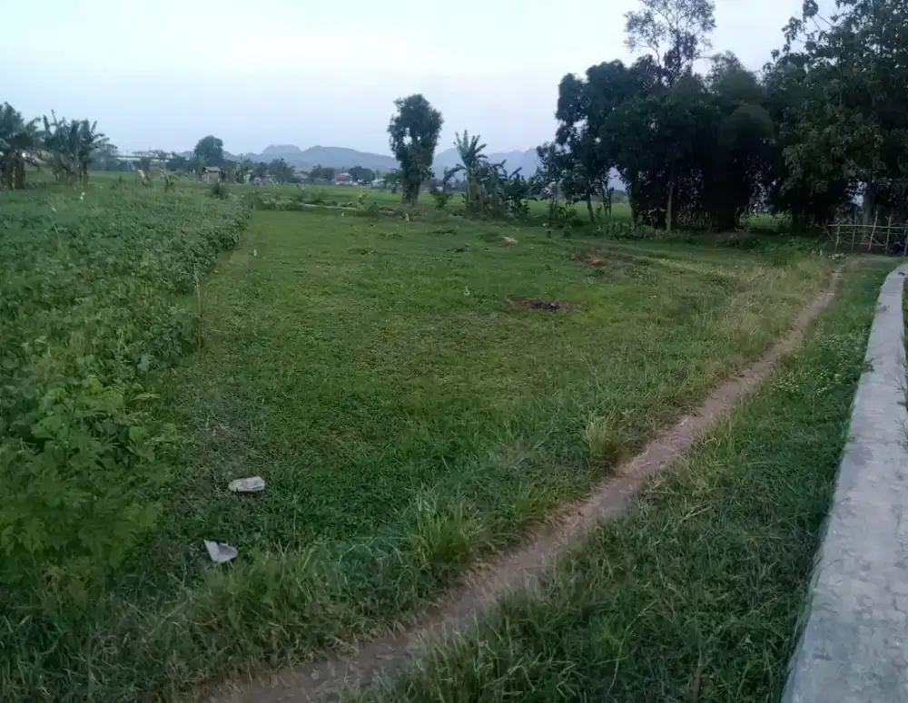 Tanah strategis dekat tol sumberjaya