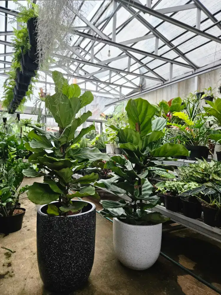 Loker Helper / Serabutan