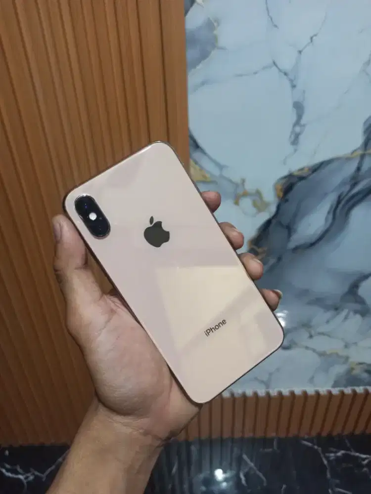 Iphone Xs 64Gb Inter Allop
