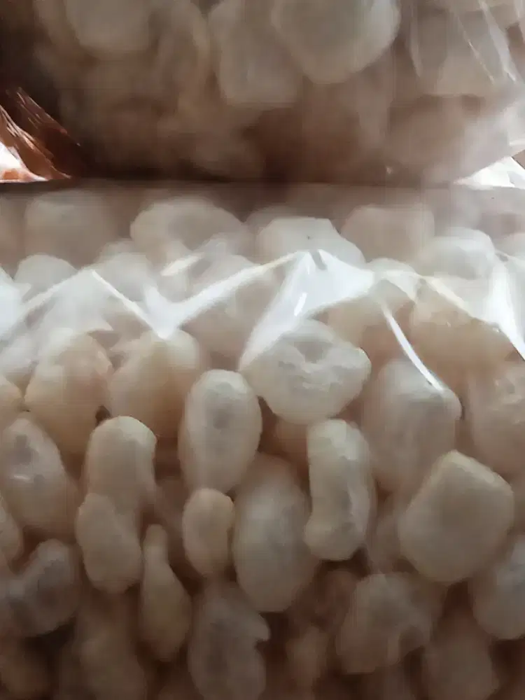 dicari tukang bungkus dan pres