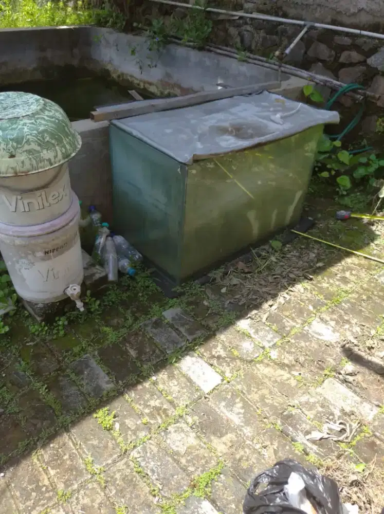 Aquarium pemakaian bekas aquascape