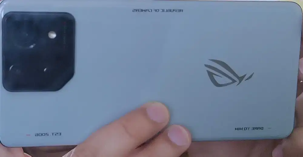 Asus ROG 8 Storm Grey 12/256