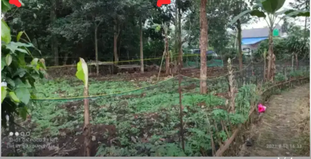 Dijual Tanah Kebun Milik Sendiri (Nego)