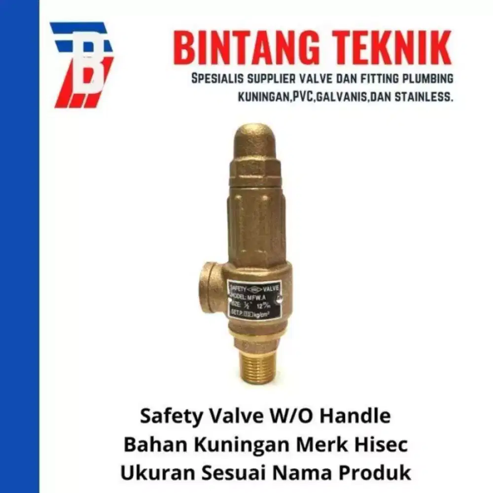 Safety Valve 3/4 Inch Merek Hisec