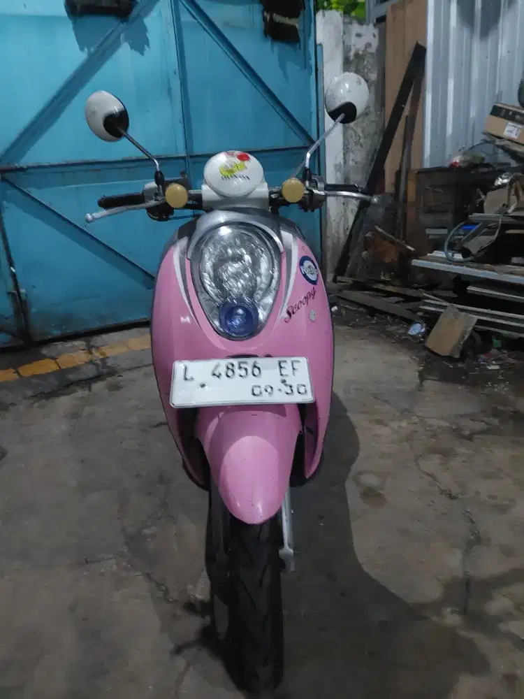 Scoppy 2010 ex cewek