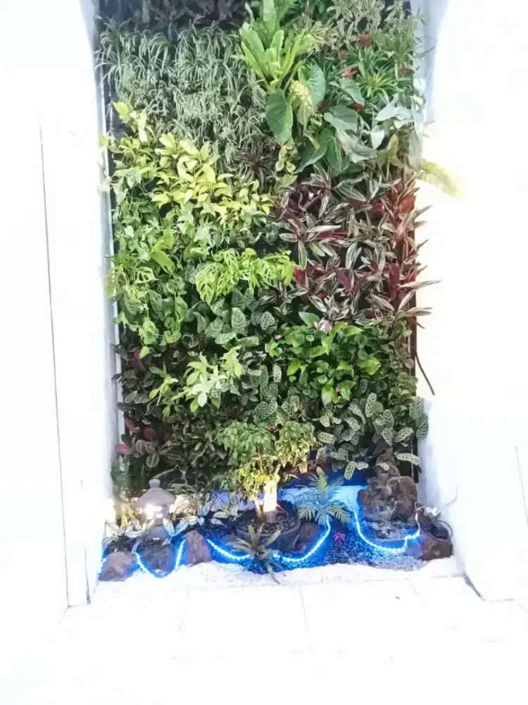 Vertical garden