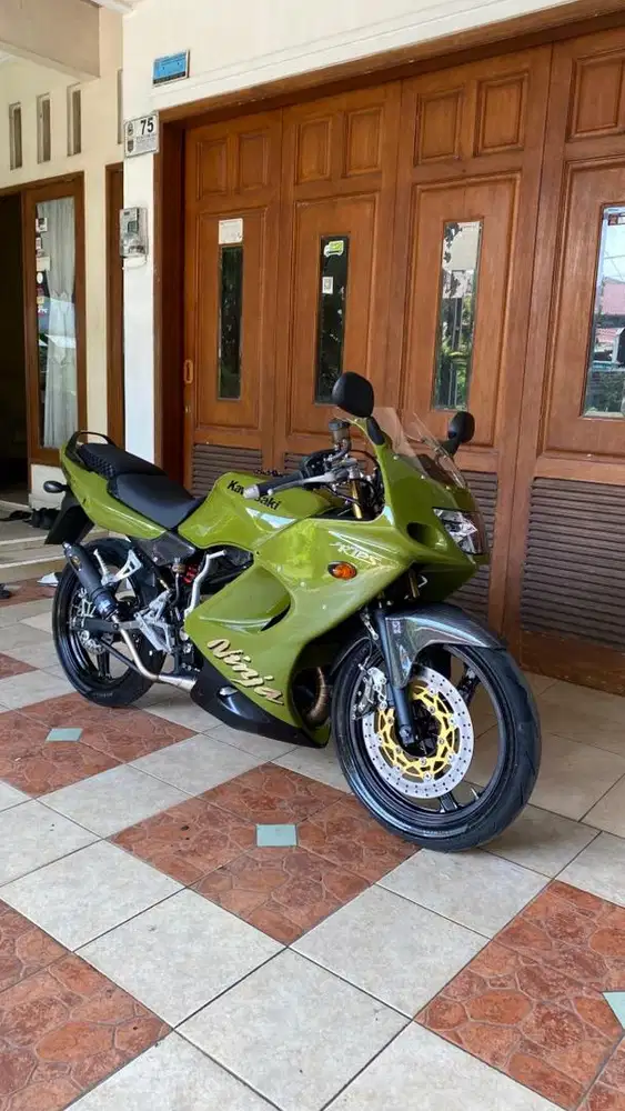 Kawasaki Ninja RR 2010