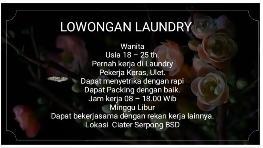 LOWONGAN LAUNDRY