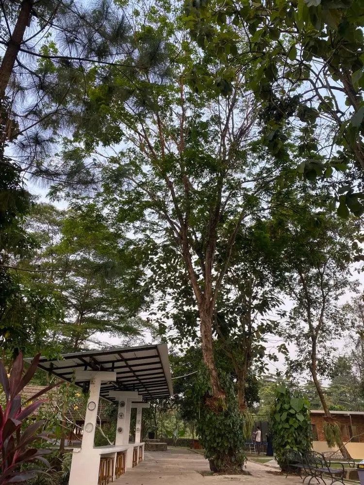 Dibutuhkan 5 Orang Marketing Perempuan berpengalaman