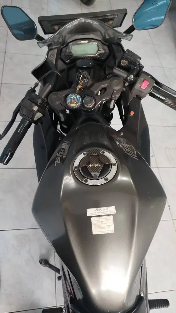 ninja 250 mono sl 2017