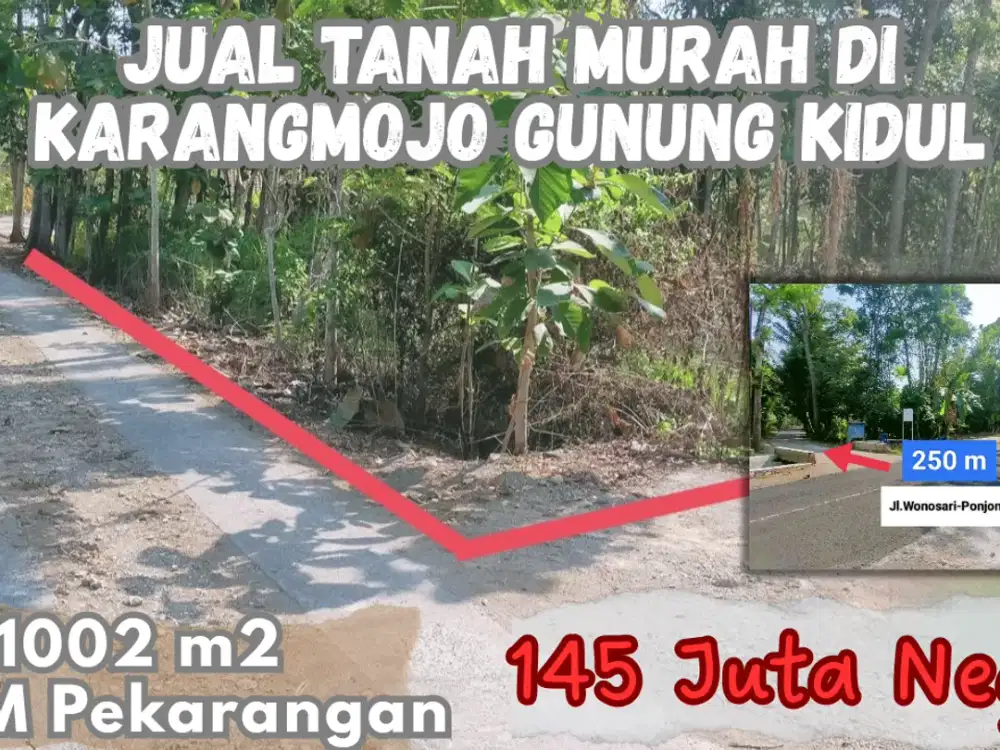 Jual tanah pekarangan murah di srimpi karangmojo gunung kidul