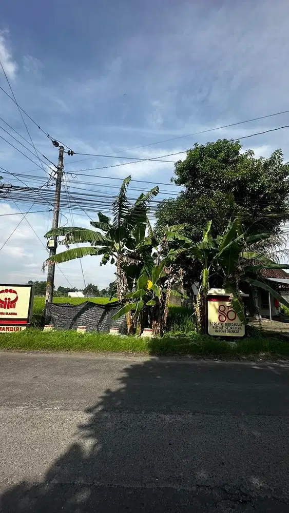 DIJUAL SEGERA TANAH SAWAH