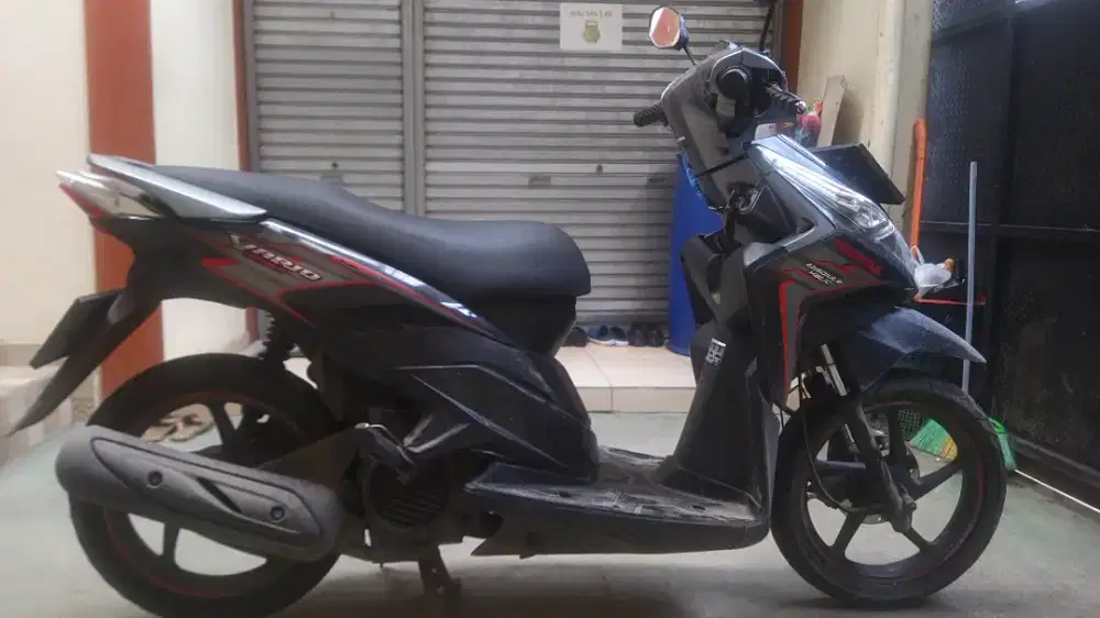 Fs vario techno 2010