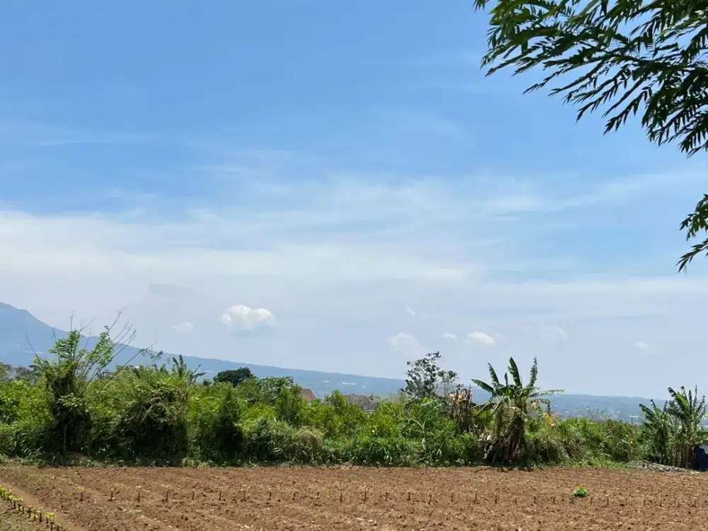 Promo Tanah Kavling Kota Malang, 7 Menit Unmuh Muhammadiyah Malang