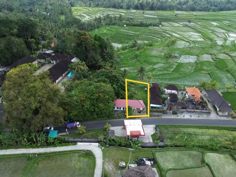 Pemandangan Sawah Sejauh Mata Memandang