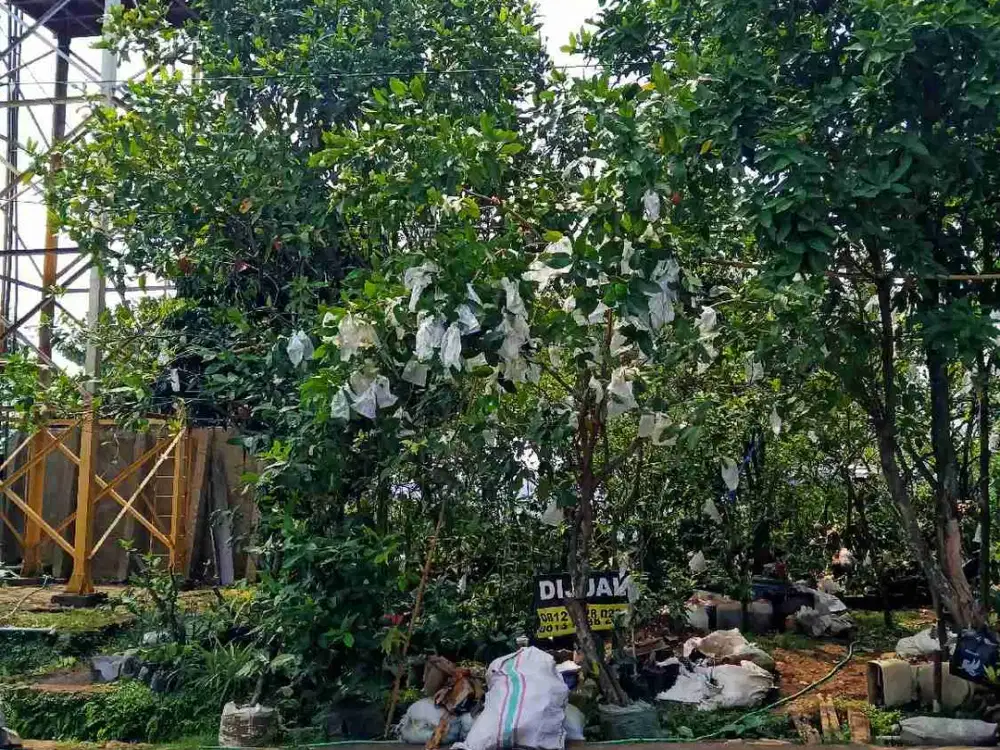 KSB strategis ditengah perumahan bs KPT diBanyumanik