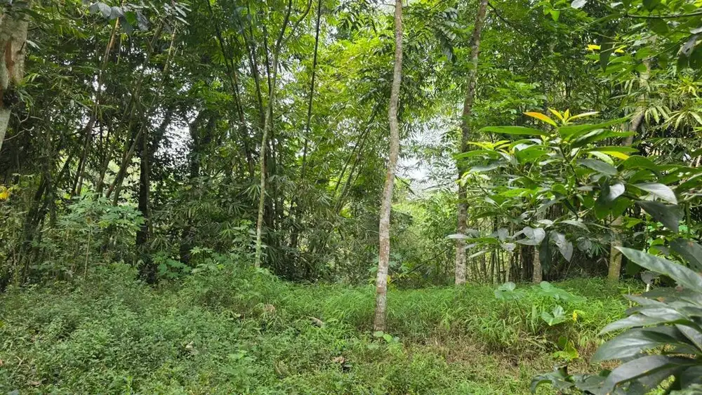 Dijual Tanah 2304 M2 SHM Pekarangan - Pakem, Sleman, Yogyakarta