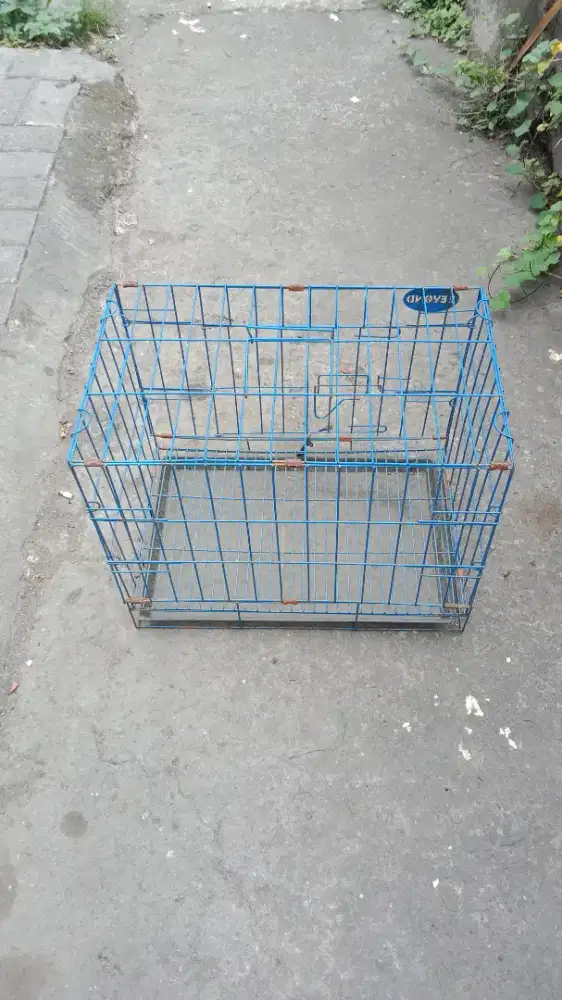 Kandang kucing. Anjing atau kelinci