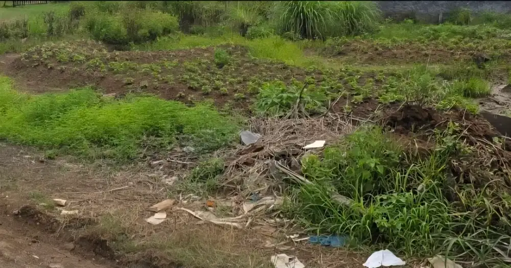 DIJUAL RUMAH BARU TEMPAT STRATEGIS & HARGA MURAH