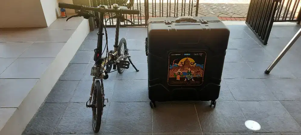 Element Troy 10 speed & baggage