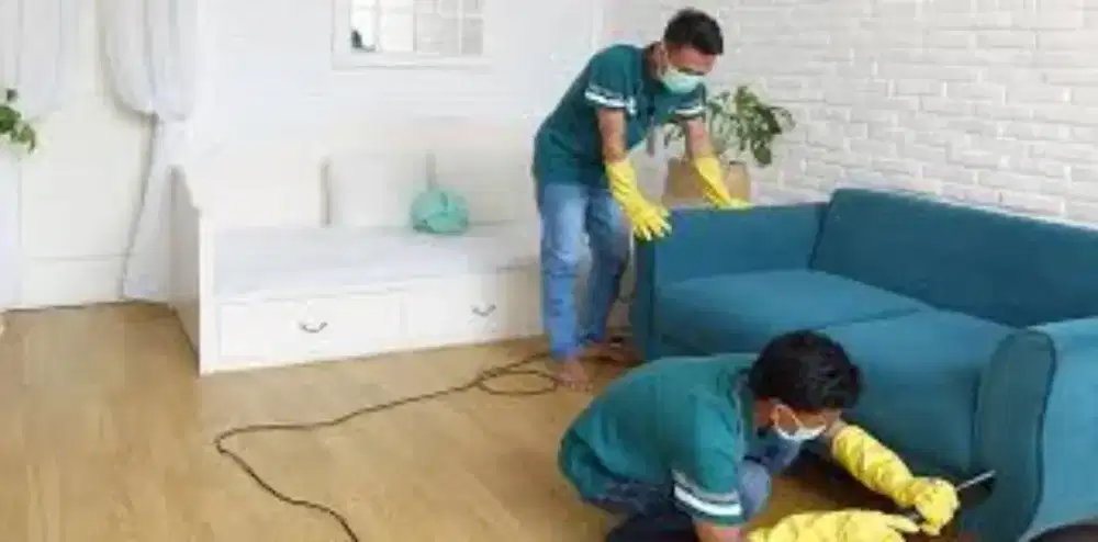 Dibutuhkan staff  Operator cuci Sofa dll laundry Nusaloka  BSD